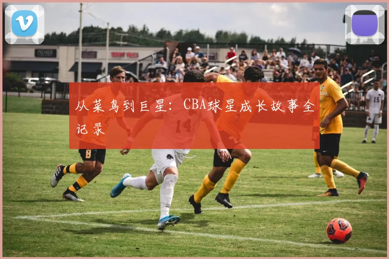 从菜鸟到巨星：CBA球星成长故事全记录