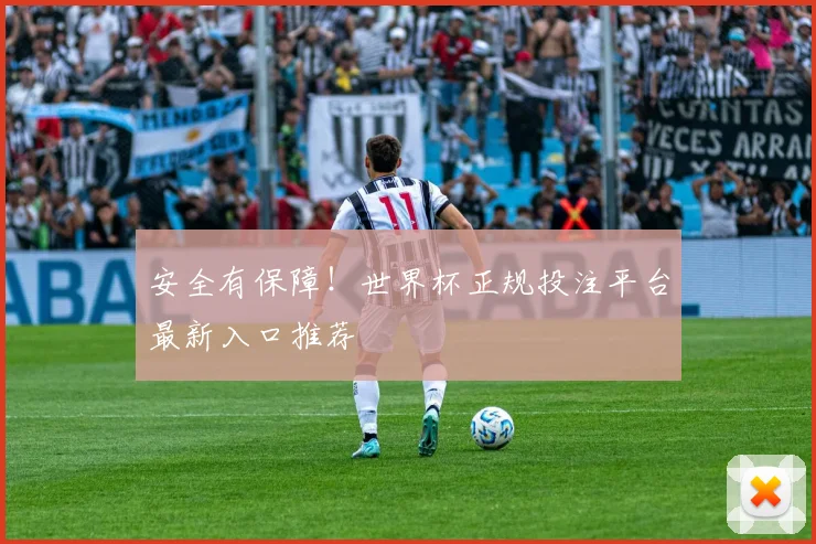 安全有保障！世界杯正规投注平台最新入口推荐