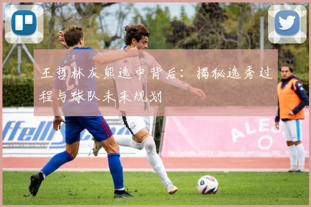 王哲林灰熊选中背后：揭秘选秀过程与球队未来规划