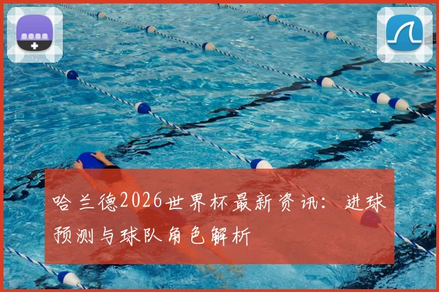 哈兰德2026世界杯最新资讯：进球预测与球队角色解析