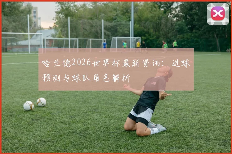 哈兰德2026世界杯最新资讯：进球预测与球队角色解析
