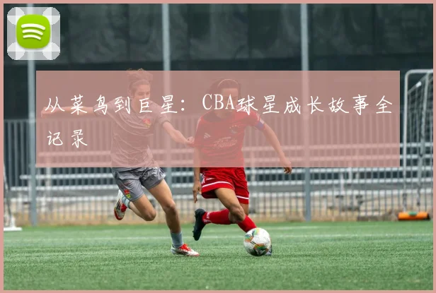 从菜鸟到巨星：CBA球星成长故事全记录