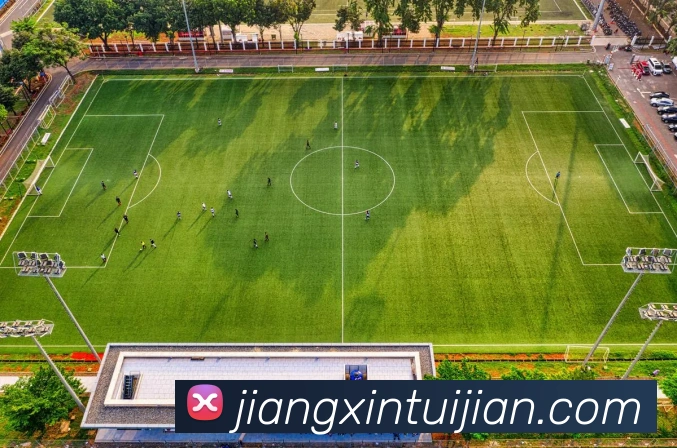 奖项证书